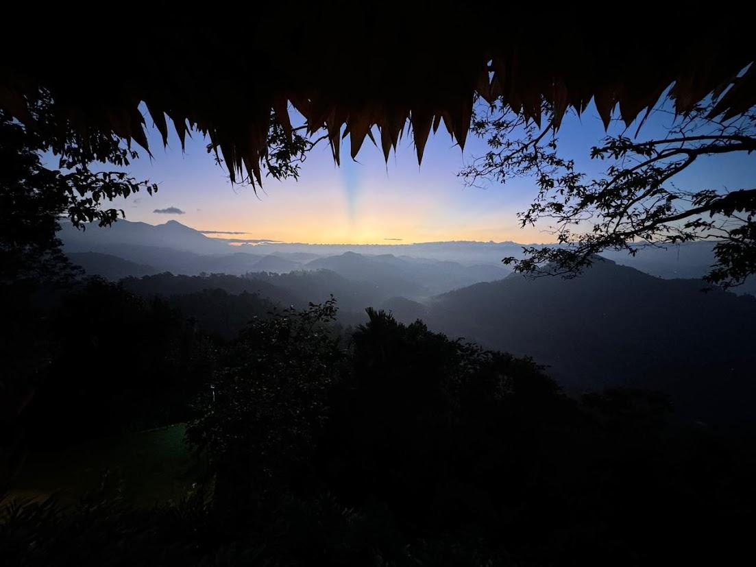 Meraki Tribe Heritage x Solis Nature