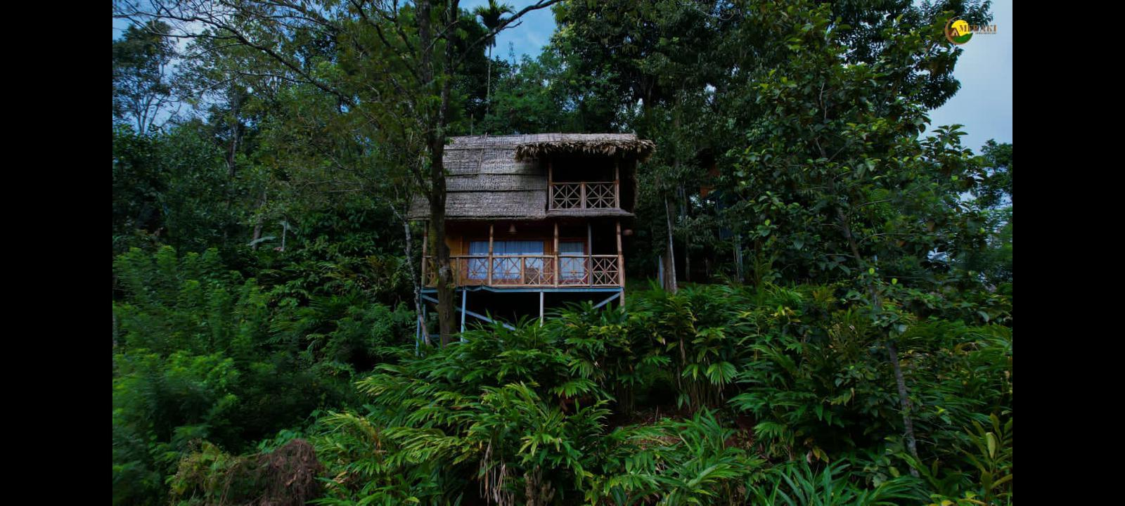 Meraki Tribe Heritage x Solis Nature