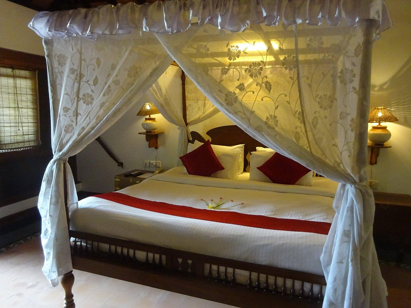 Punnamada Resort x Solis Nature