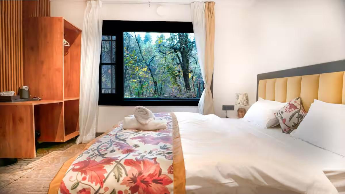 The Solitude x Solis Nature