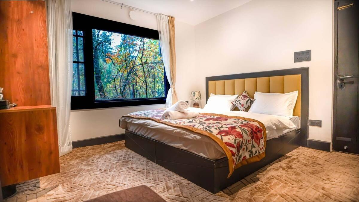 The Solitude x Solis Nature