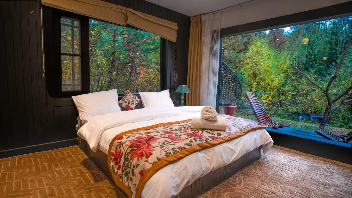 The Solitude x Solis Nature