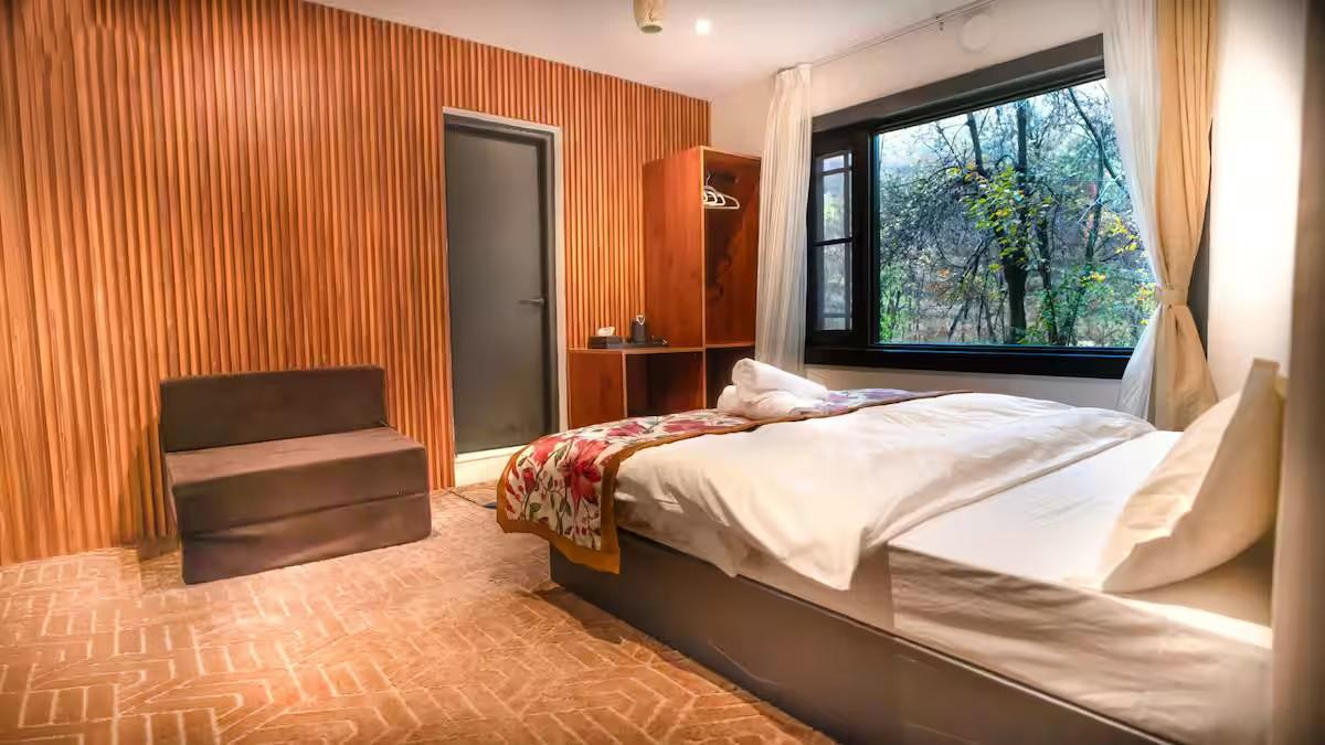 The Solitude x Solis Nature