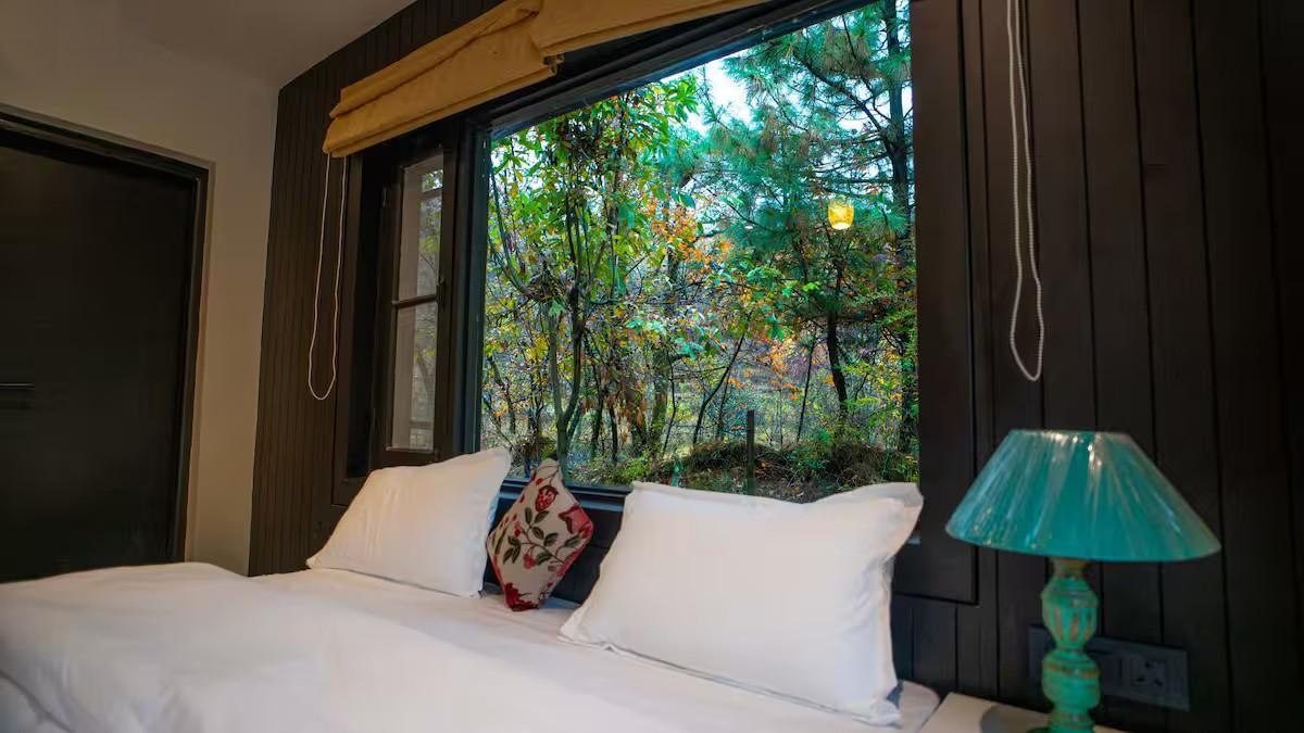 The Solitude x Solis Nature