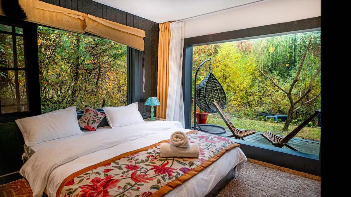 The Solitude x Solis Nature