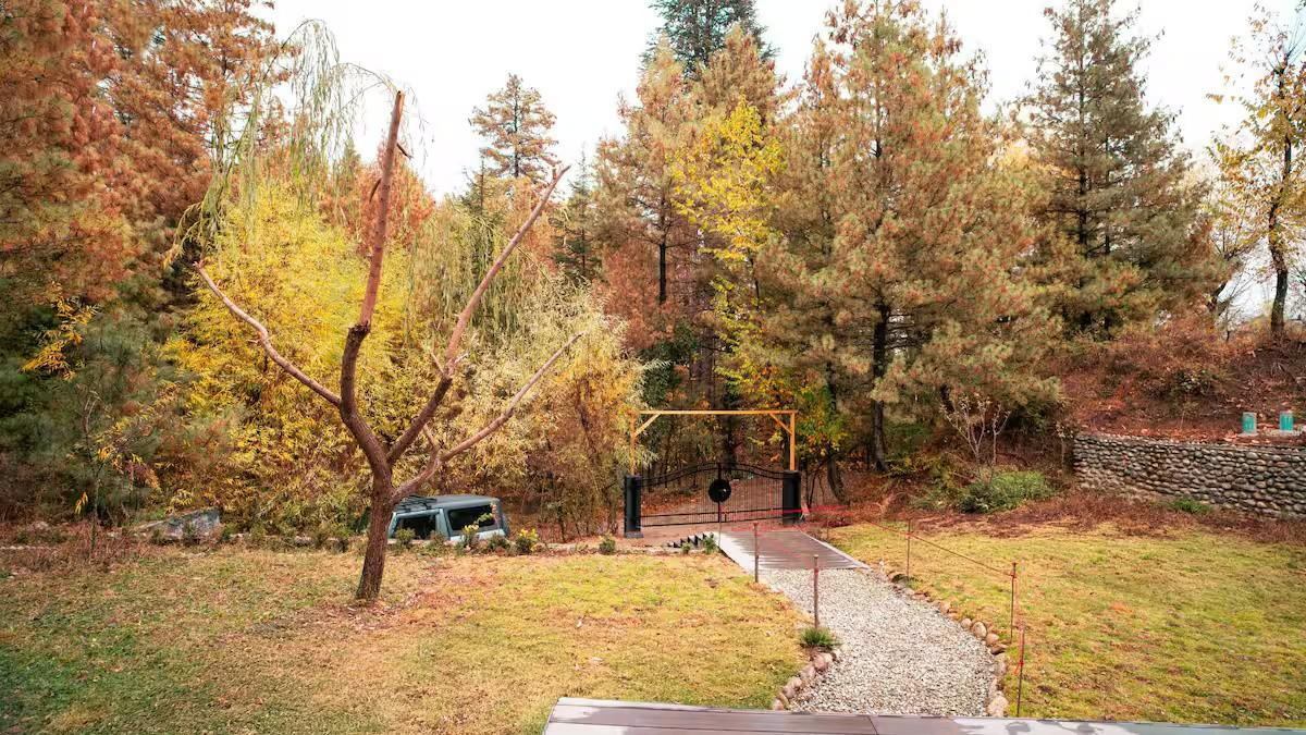 The Solitude x Solis Nature