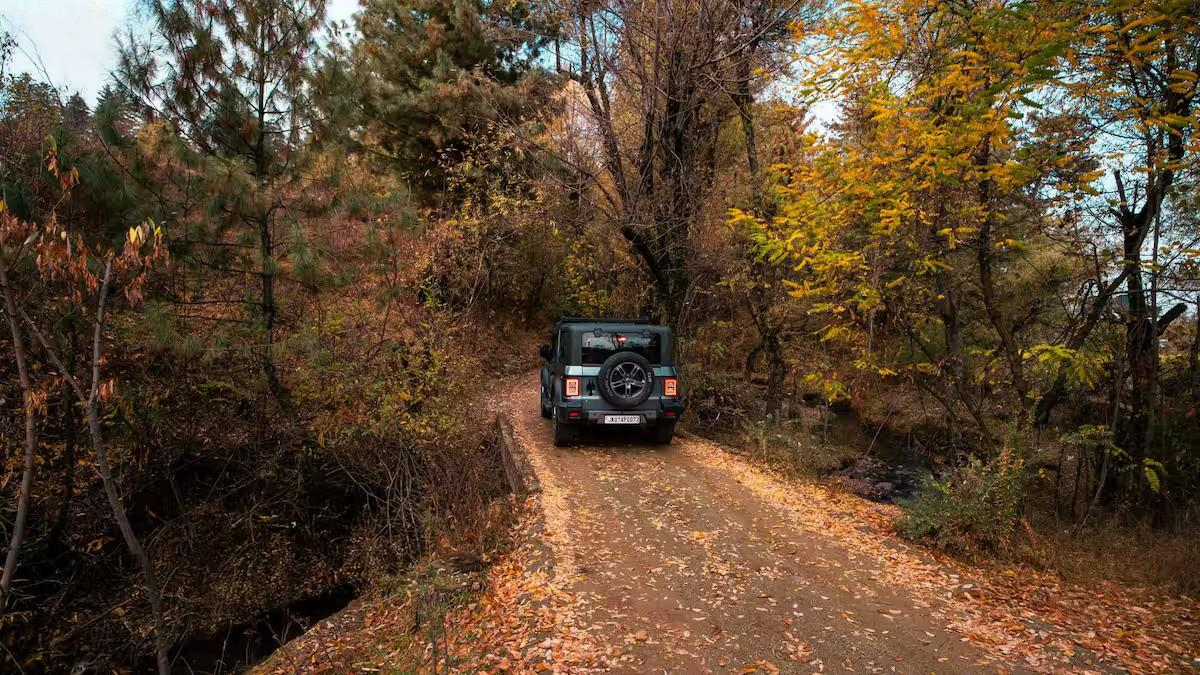 The Solitude x Solis Nature