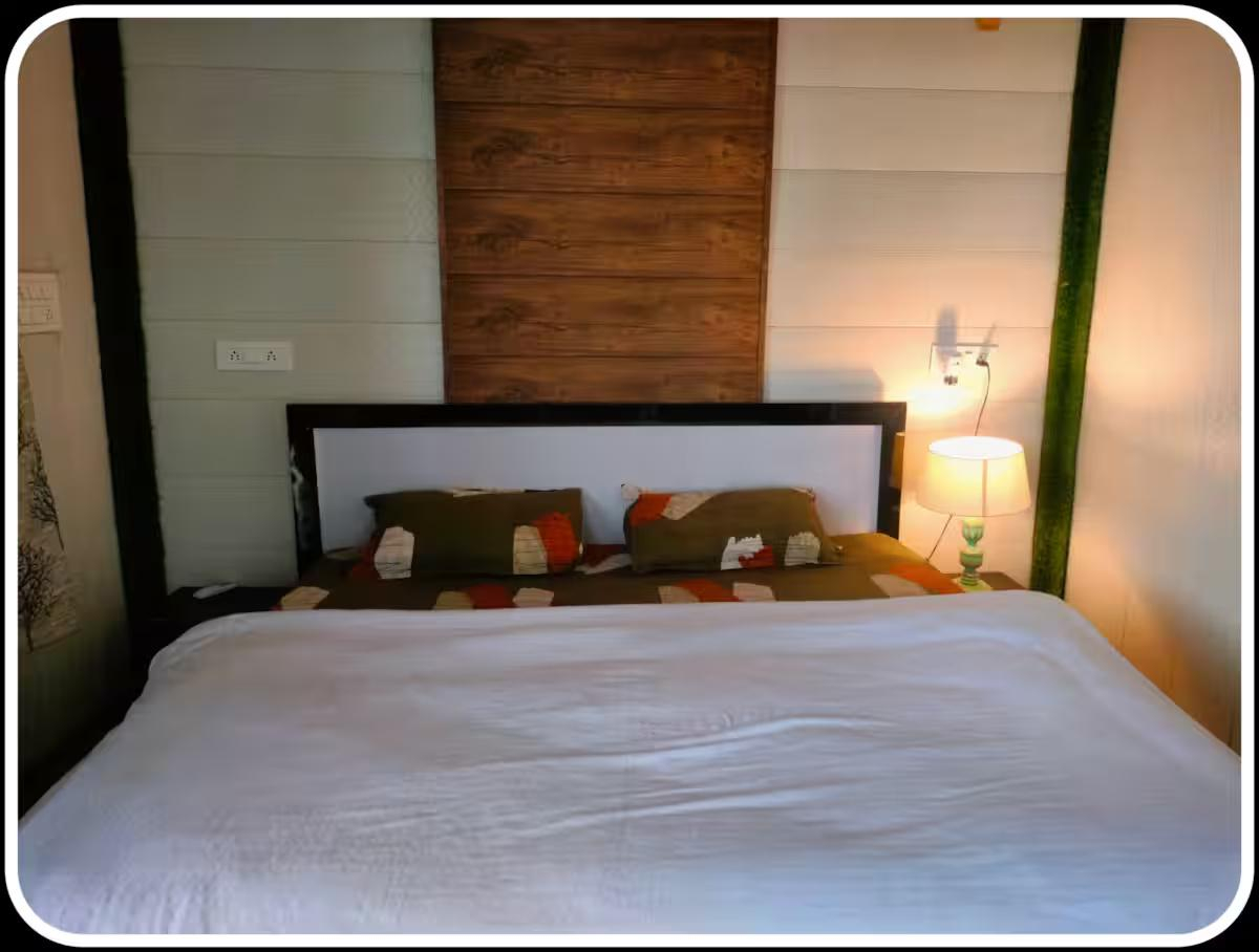 Aaron: Cheerful Place In the Forest x Solis Nature