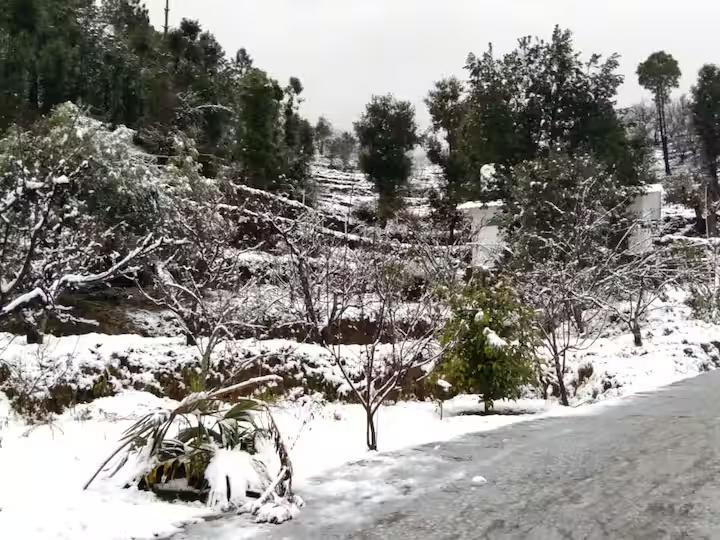 Cosy Cottage with 5 Star Views | Near Mukteshwar x Solis Nature