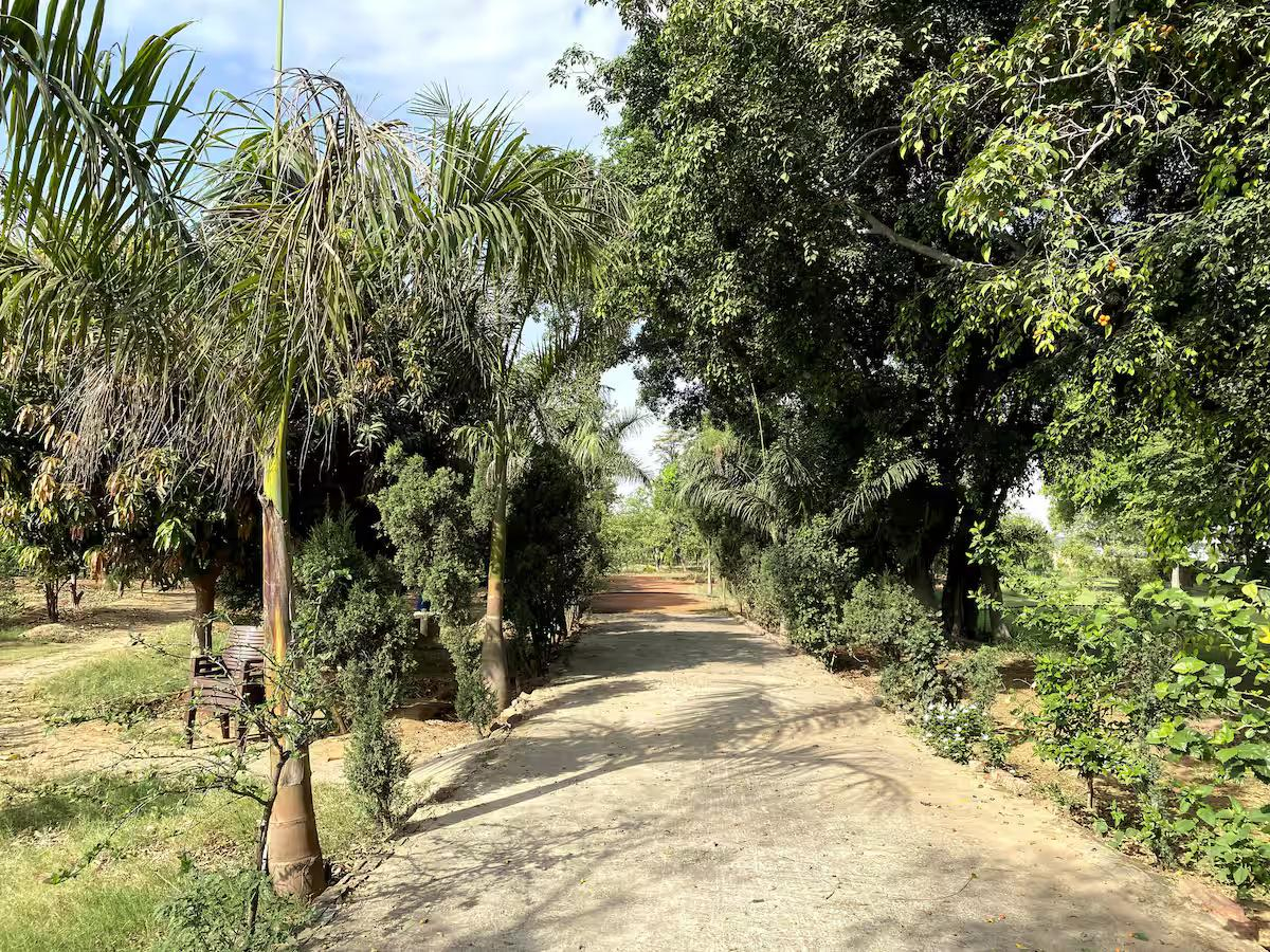 Farm stay in Gurugram | Pet Friendly x Solis Nature