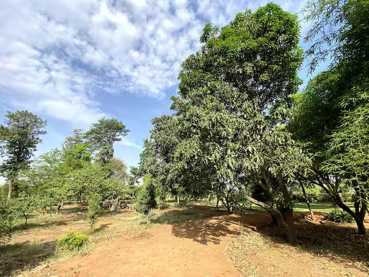 Farm stay in Gurugram | Pet Friendly x Solis Nature