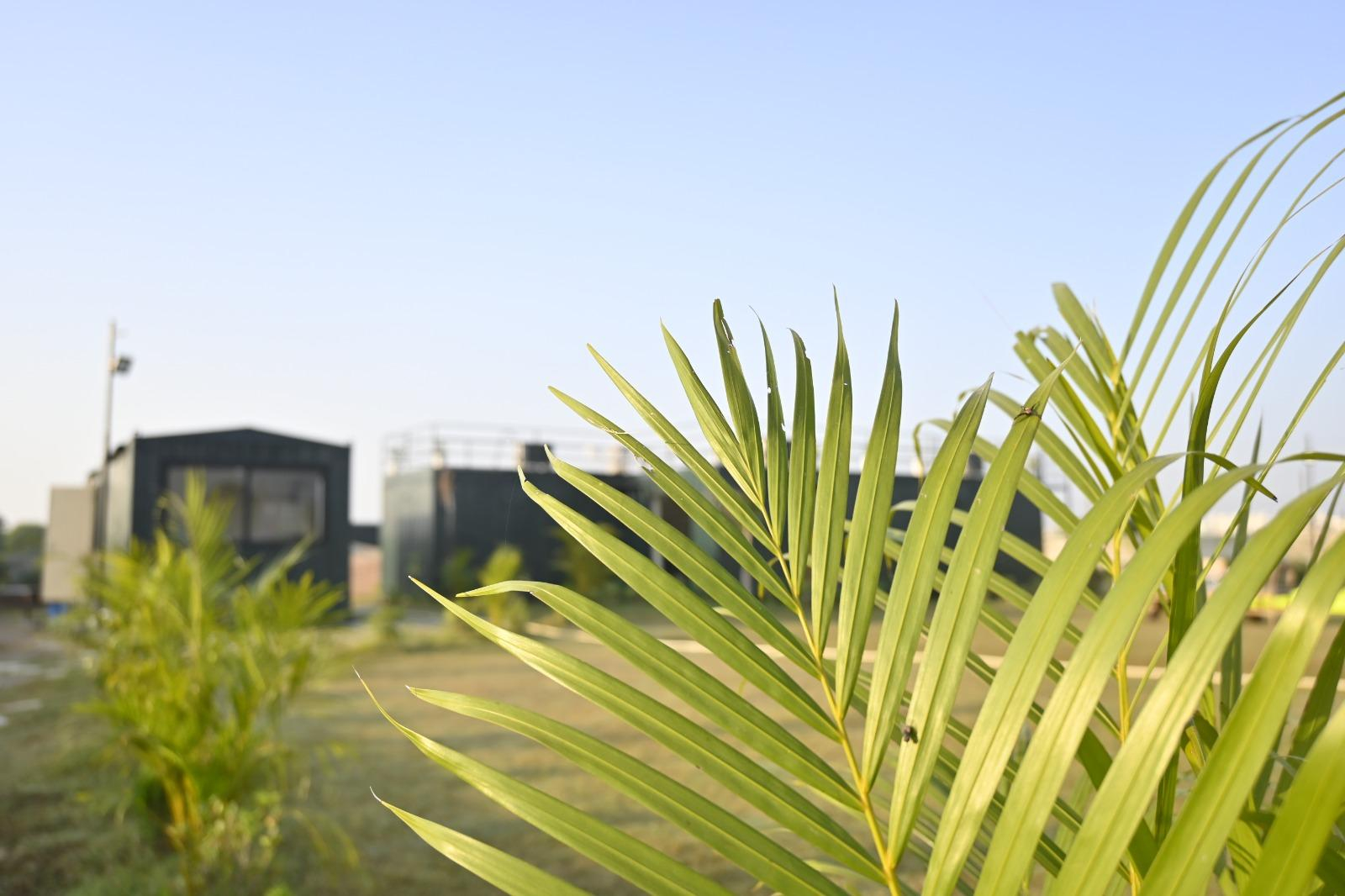 Tarshal Farms - A Rustic Property with Games x Solis Nature