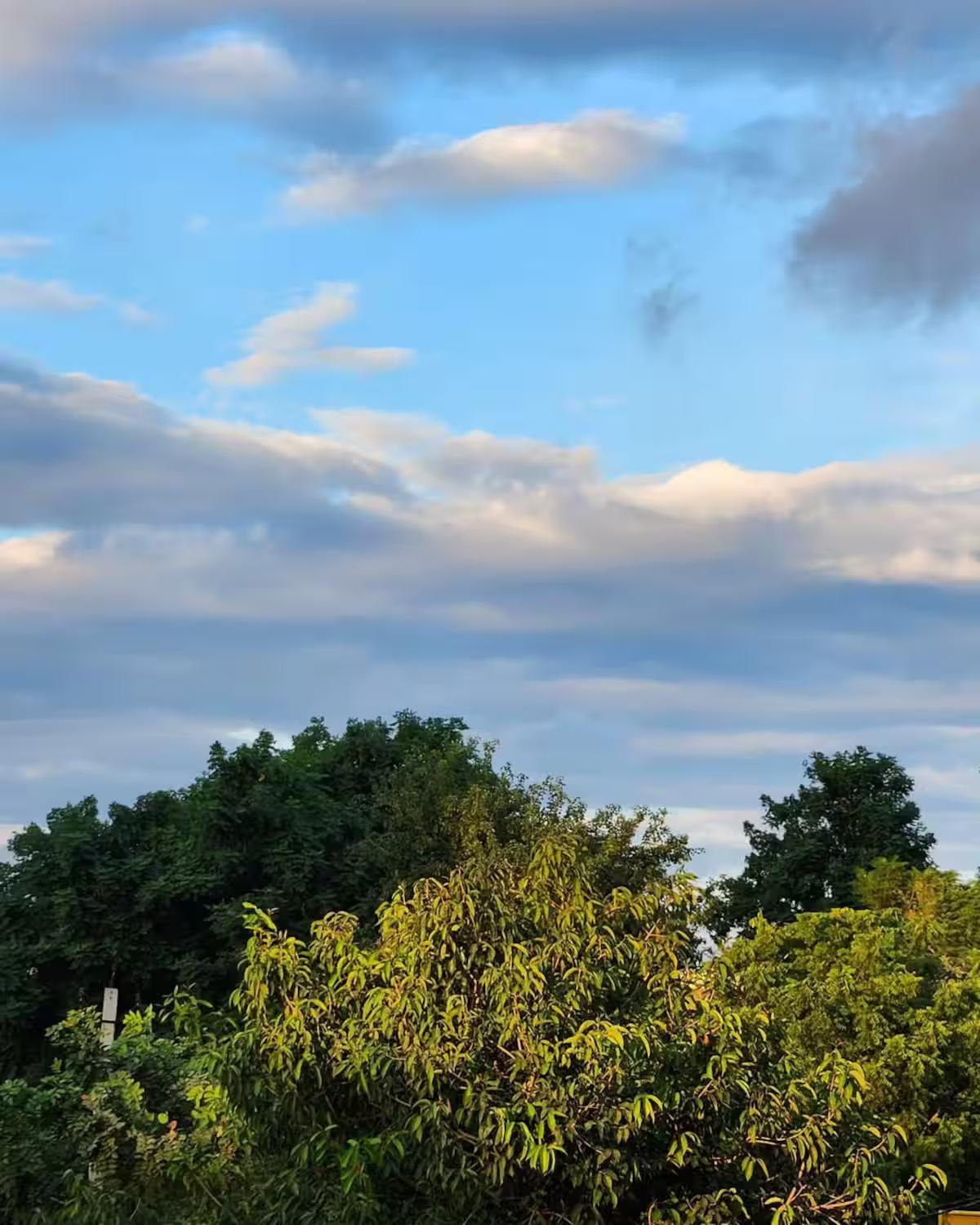 Lovely 2 bedroom homestay | Saur homestay: Kunj x Solis Nature