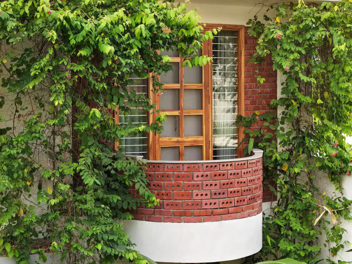 Lovely 2 bedroom homestay | Saur Homestay-Mogra x Solis Nature