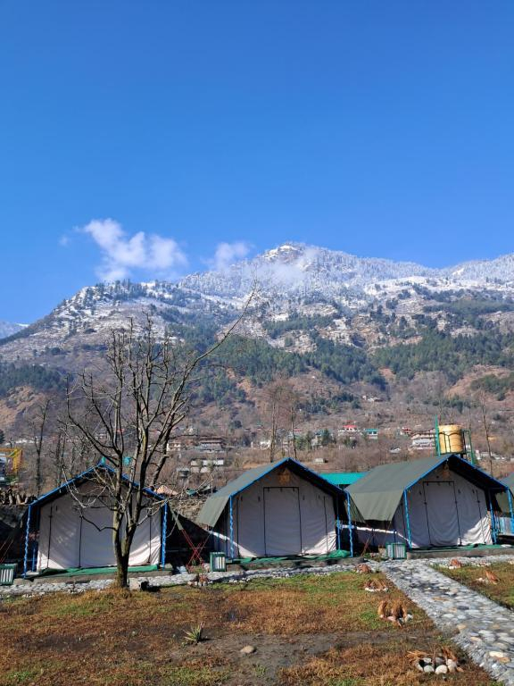 Stargazers Glamping x Solis Nature