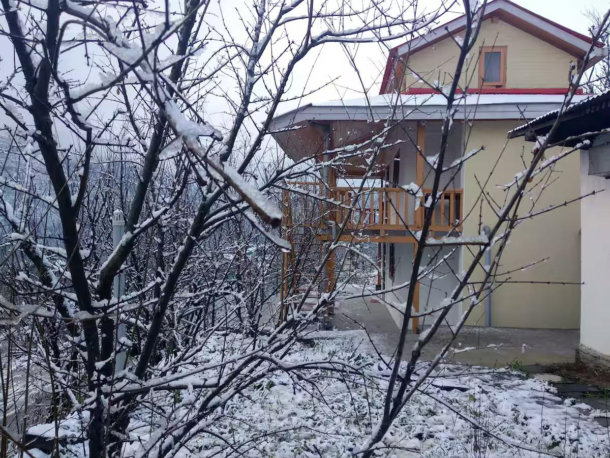 Teja Wooden Cottages- Bandrol x Solis Nature