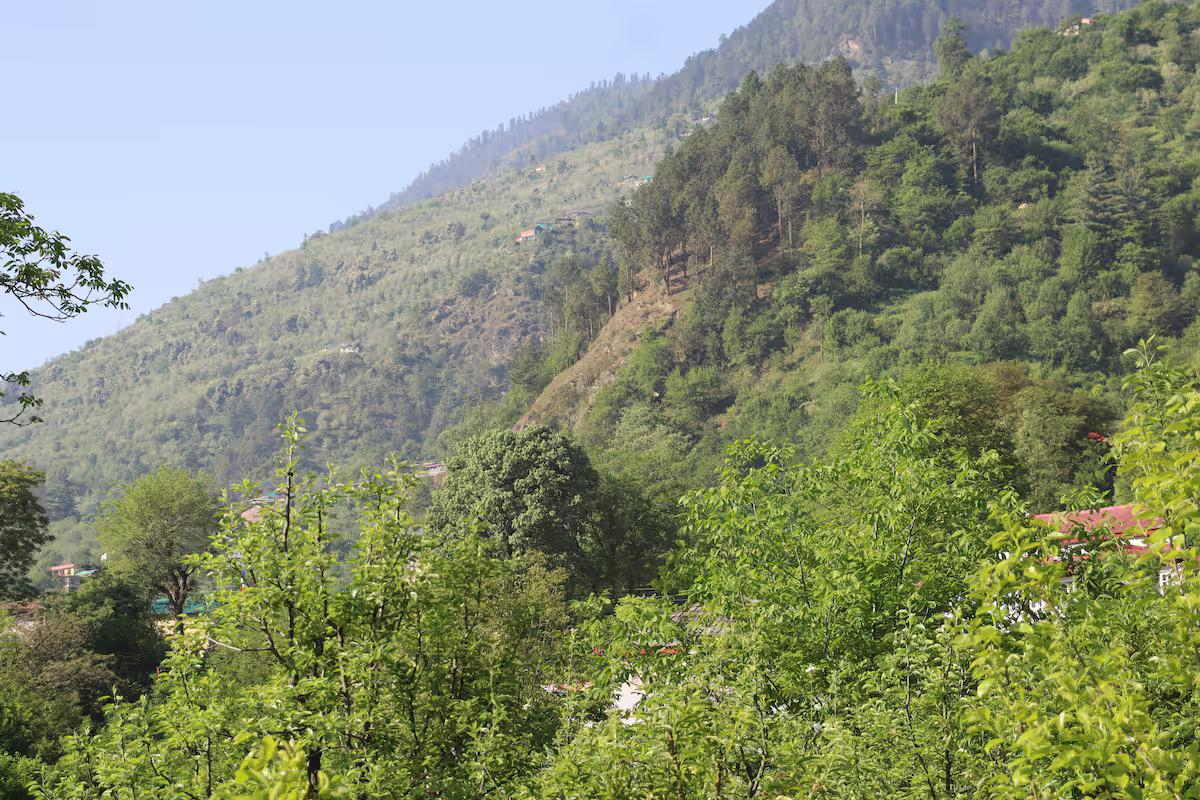 Teja Wooden Cottages- Bandrol x Solis Nature