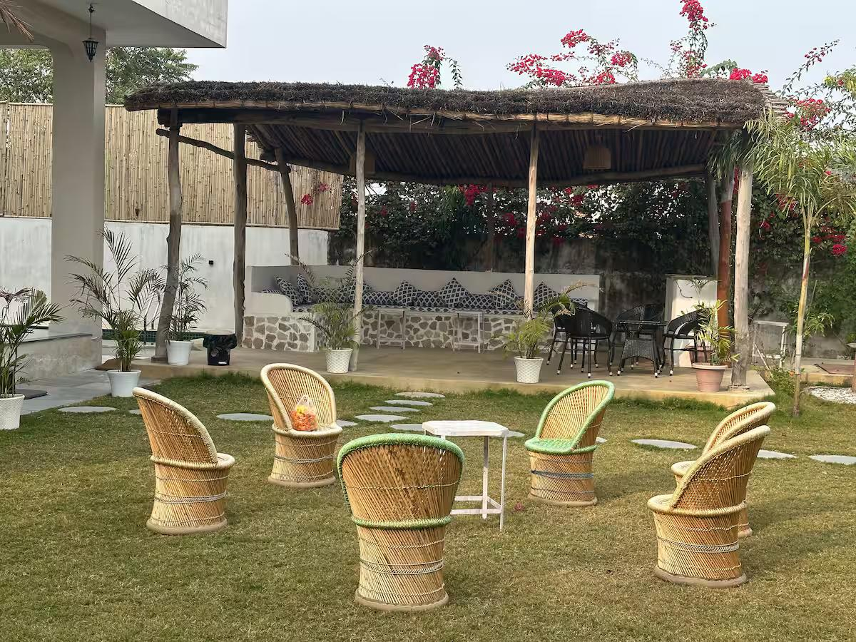 The nature amer x Solis Nature