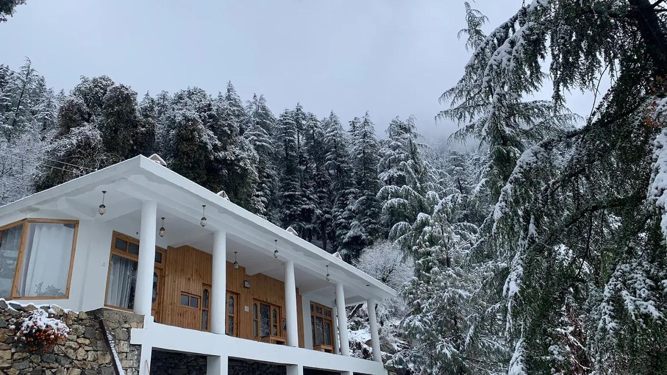 The Isisinga rooms x Solis Nature