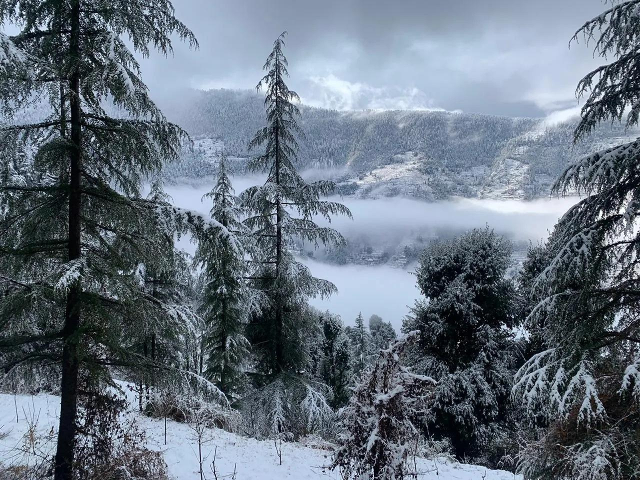 The Isisinga rooms x Solis Nature