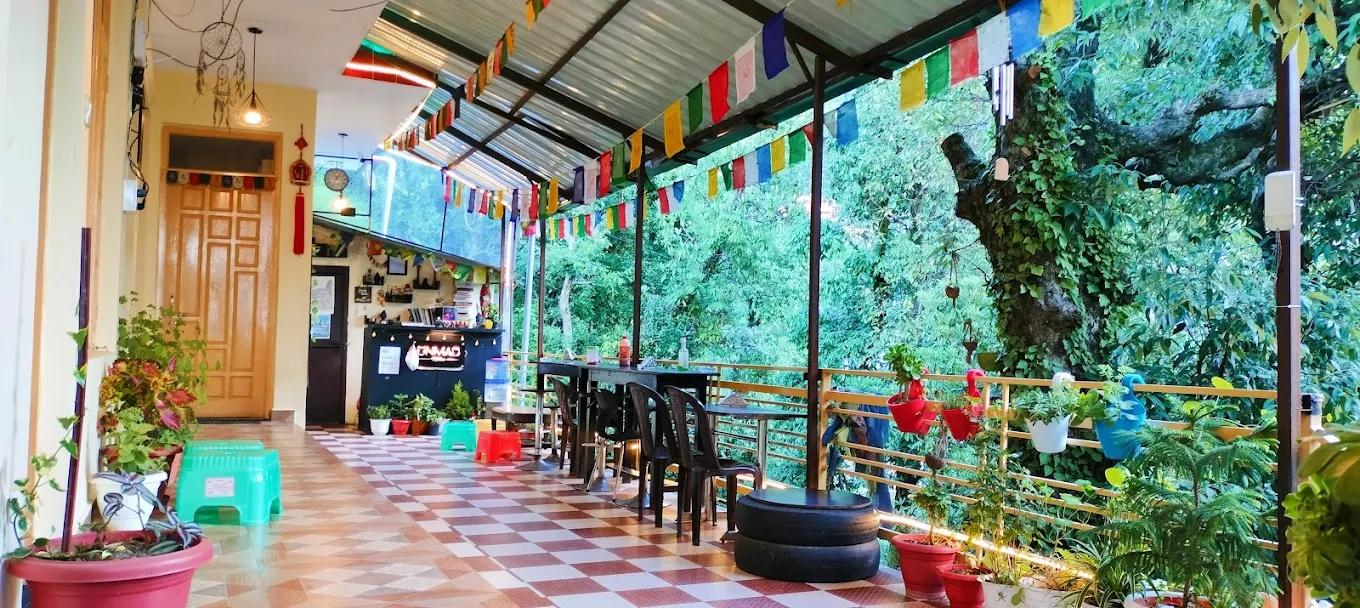 The Unmad Dharamkot x Solis Nature