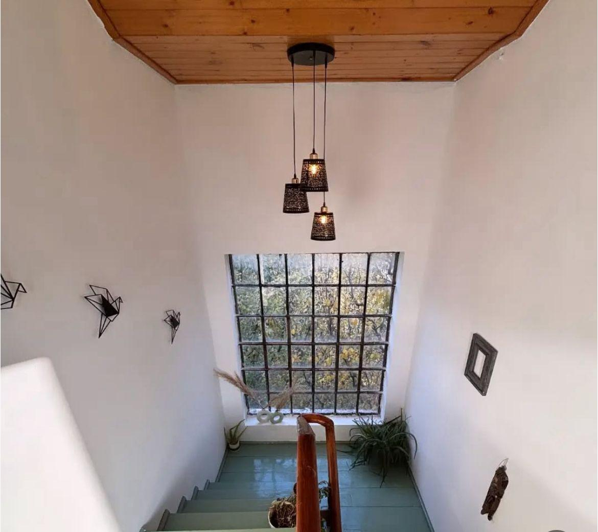 Tiny Yety Homes x Solis Nature