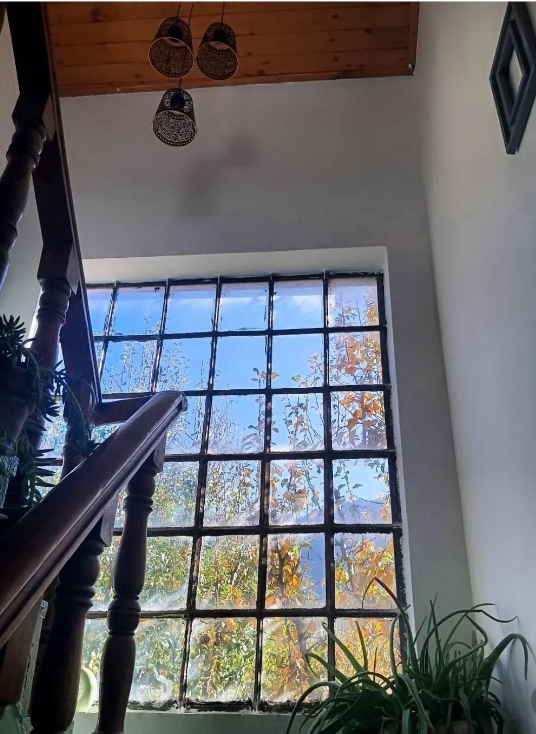 Tiny Yety Homes x Solis Nature