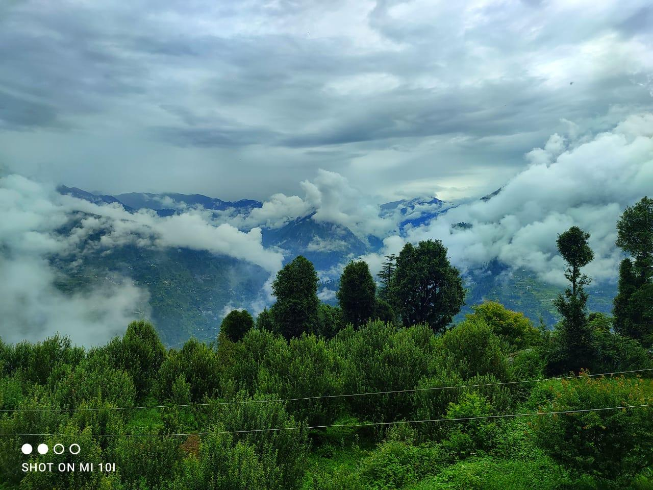 The Isisinga tree house x Solis Nature