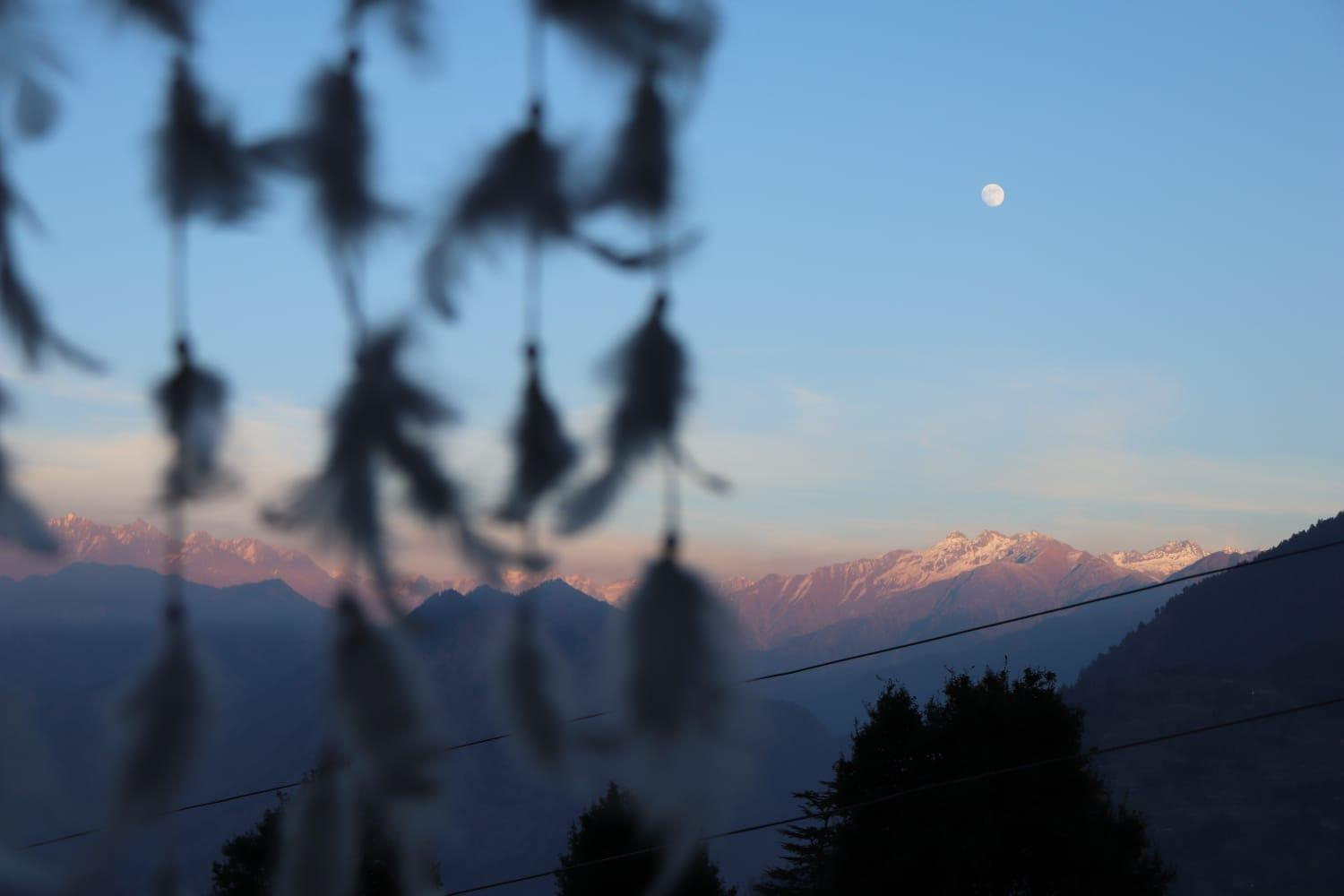 The Isisinga tree house x Solis Nature