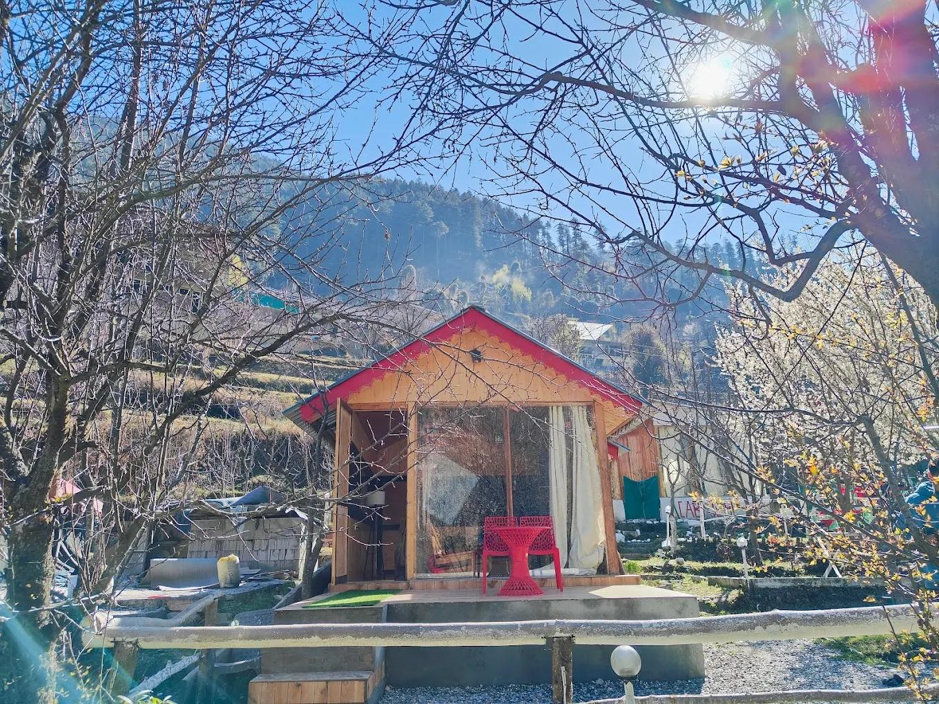 The acoustic cabin x Solis Nature