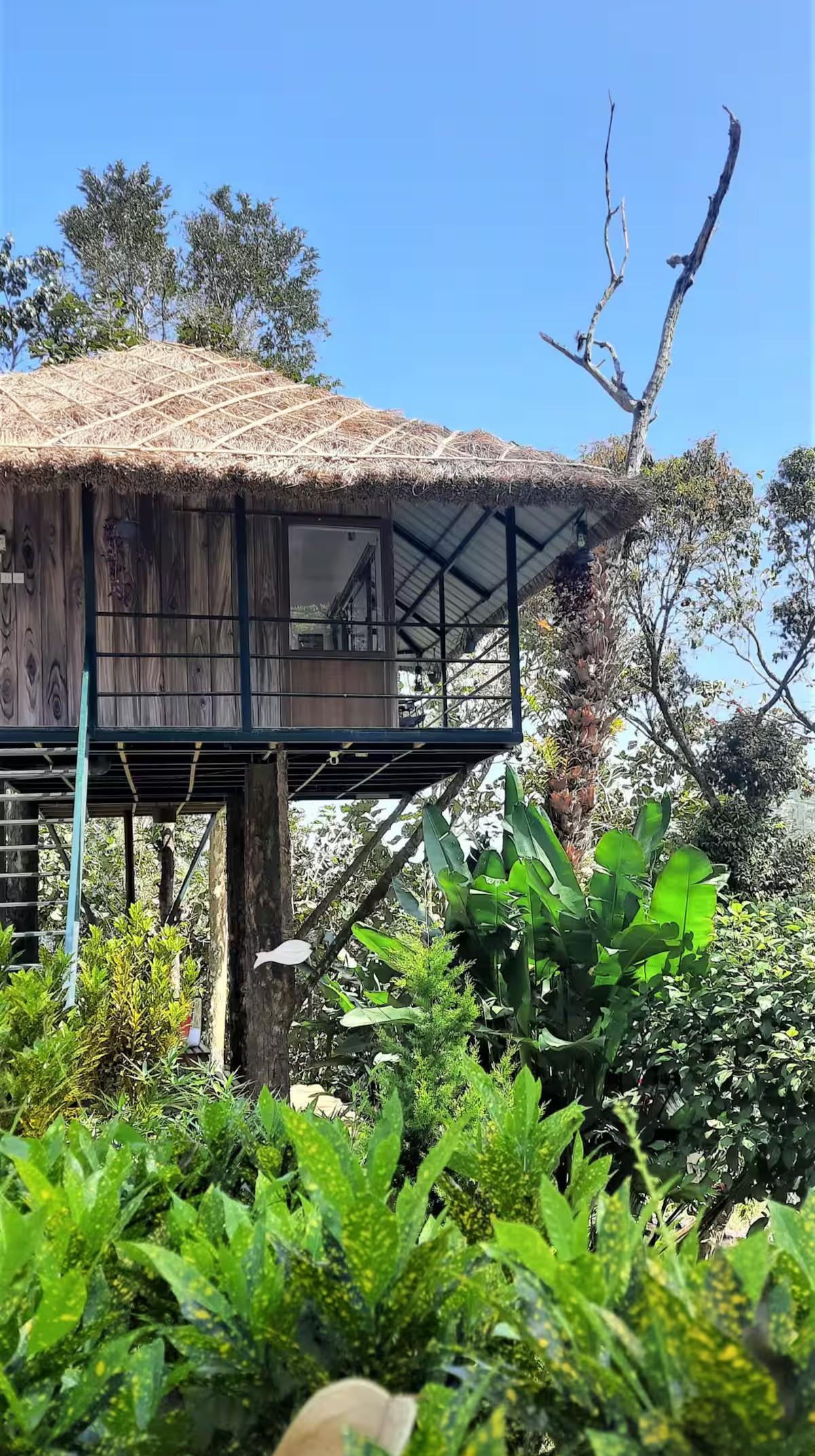 Noah's Nest Treehouse x Solis Nature