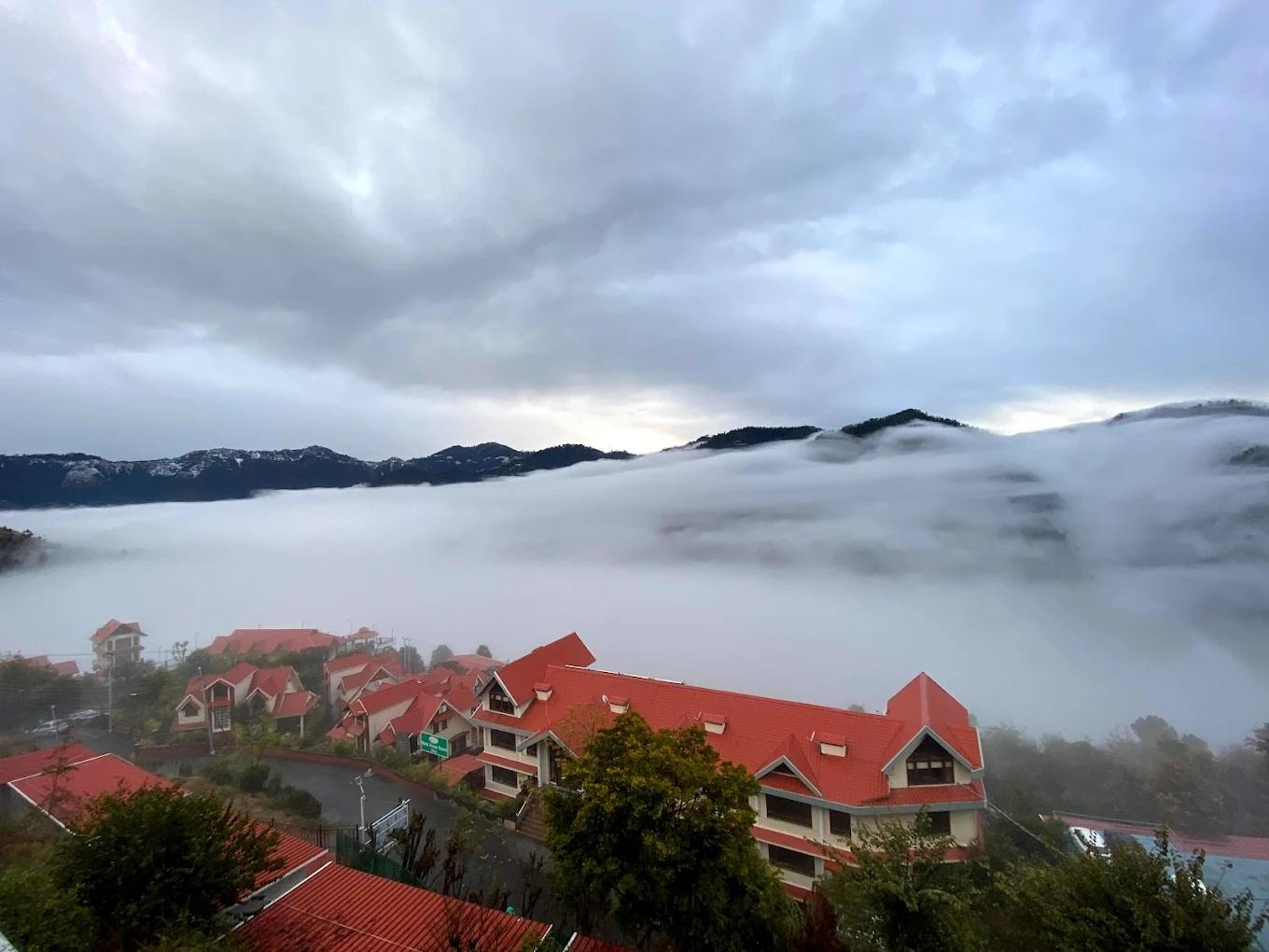 Manla Homes Resort x Solis Nature