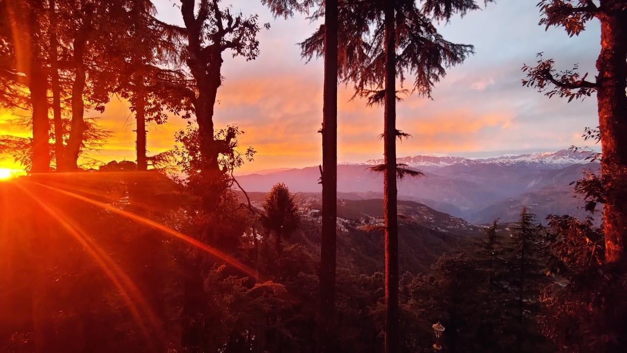 The Sandringham Hideout x Solis Nature