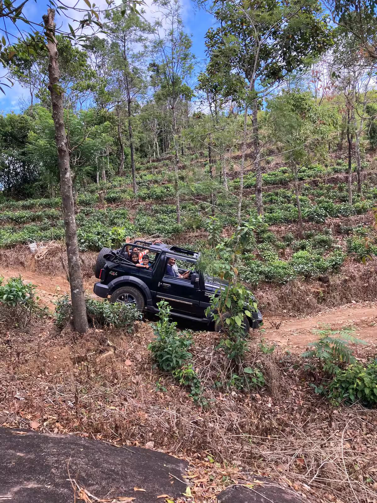 Thumpayil Hills Tree House x Solis Nature