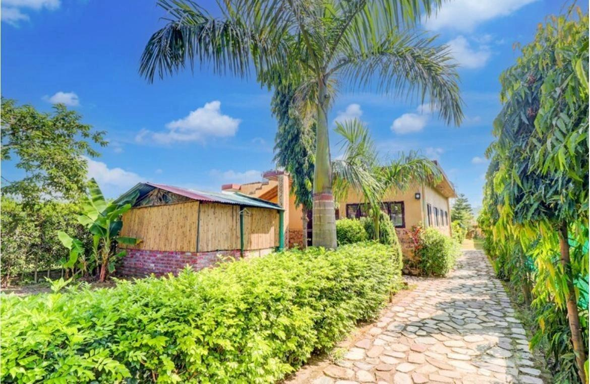 Rajaji Wild Trail Resort x Solis Nature