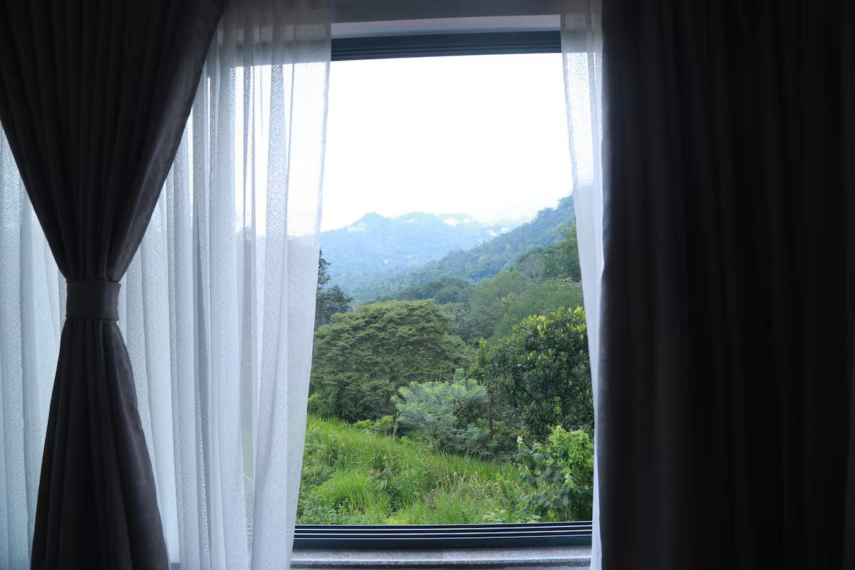 Mannoor Farms Mountain View Stays x Solis Nature