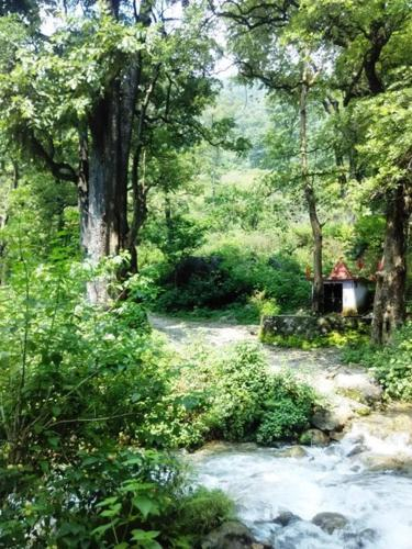 Rishikesh valley Resort x Solis Nature