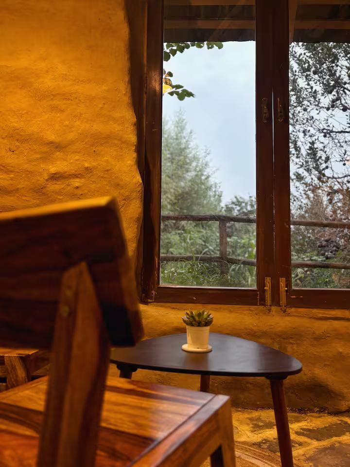 Jankis Commune Manali’s x Solis Nature