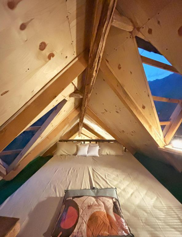 Jankis Commune Manali’s x Solis Nature