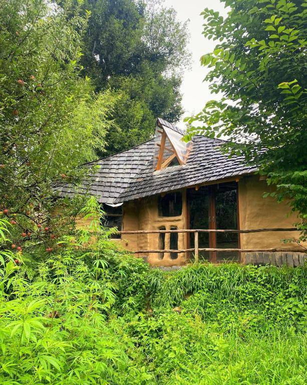 Jankis Commune Manali’s x Solis Nature