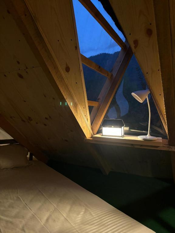 Jankis Commune Manali’s x Solis Nature