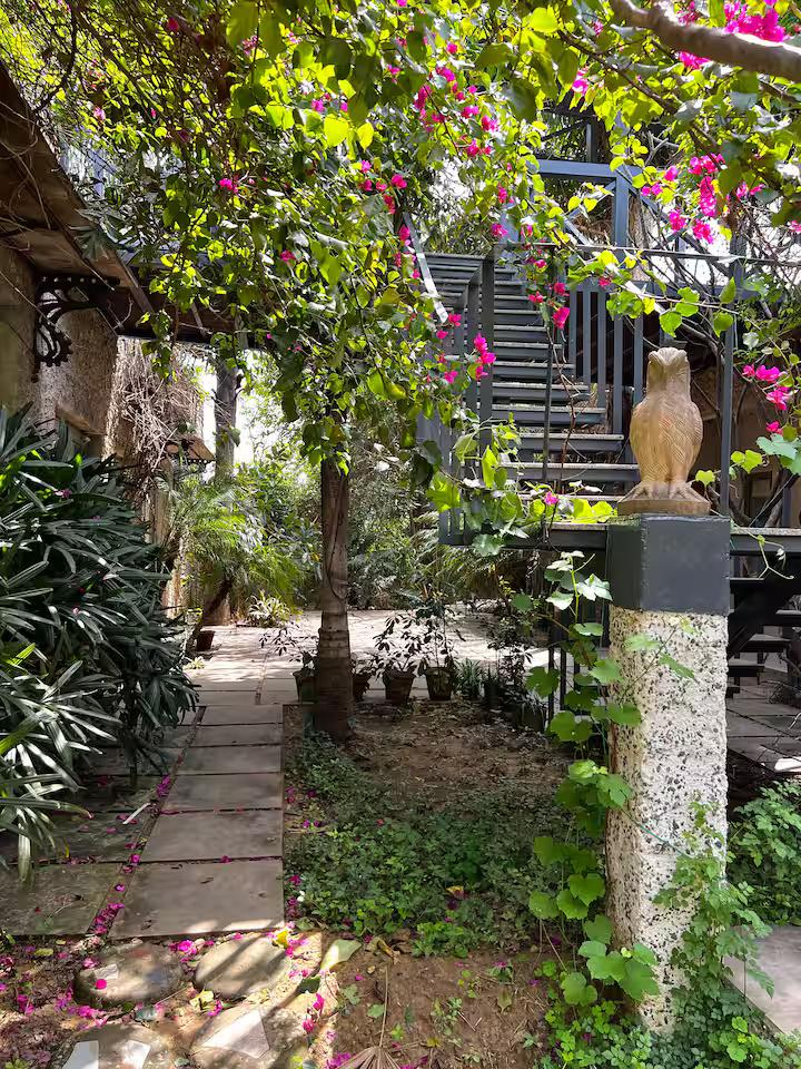 IvyBridge - Pool, Jacuzzi , Gym, Nature (NCR) x Solis Nature