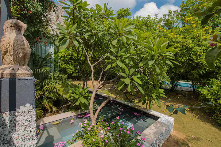 IvyBridge - Pool, Jacuzzi , Gym, Nature (NCR) x Solis Nature