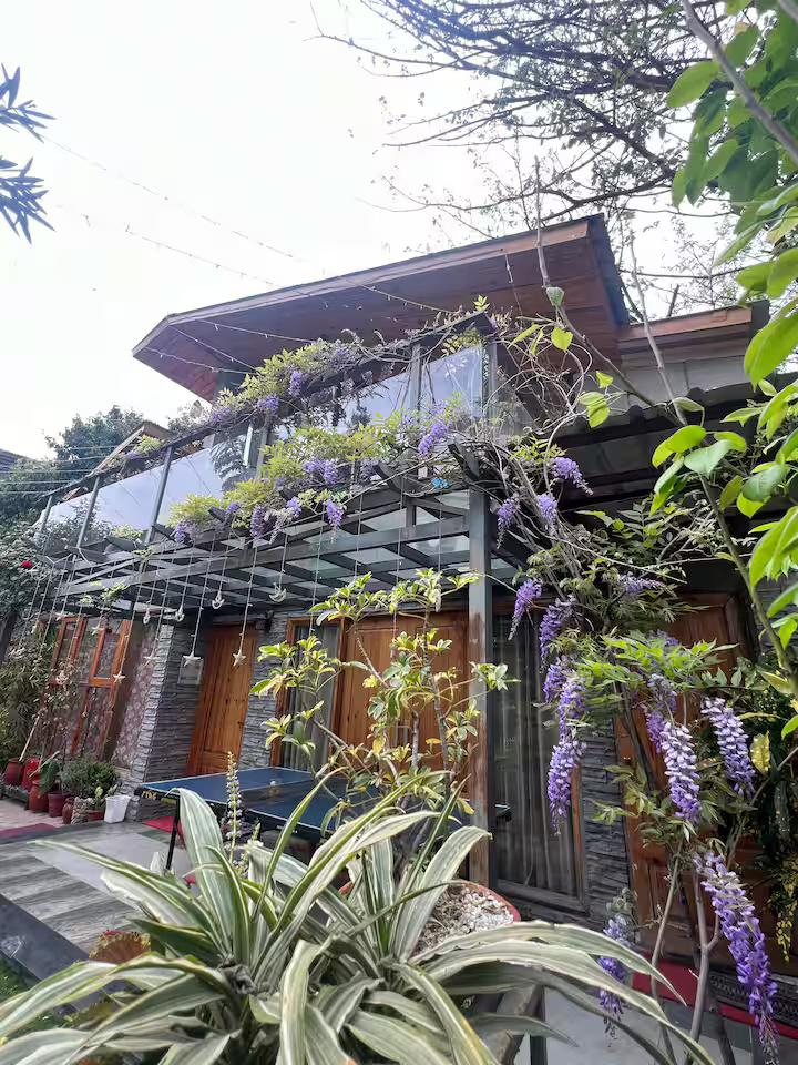 The Wisteria Cottage x Solis Nature