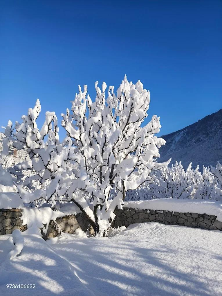 Cottage Palzey Manali x Solis Nature