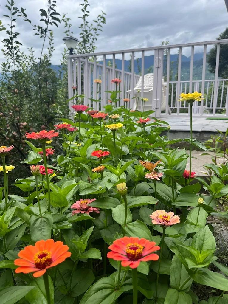 The Lush Pods x Solis Nature