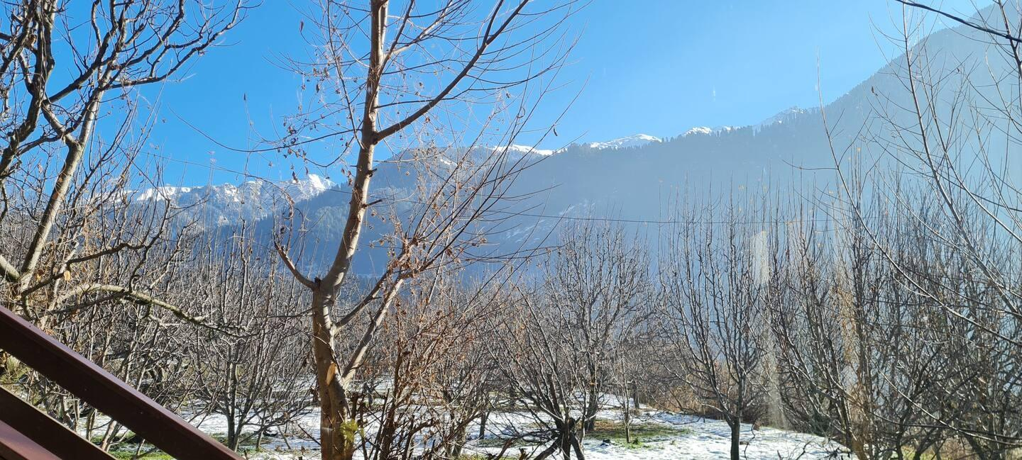 Pehlingpa Home's 3 private bedrooms x Solis Nature