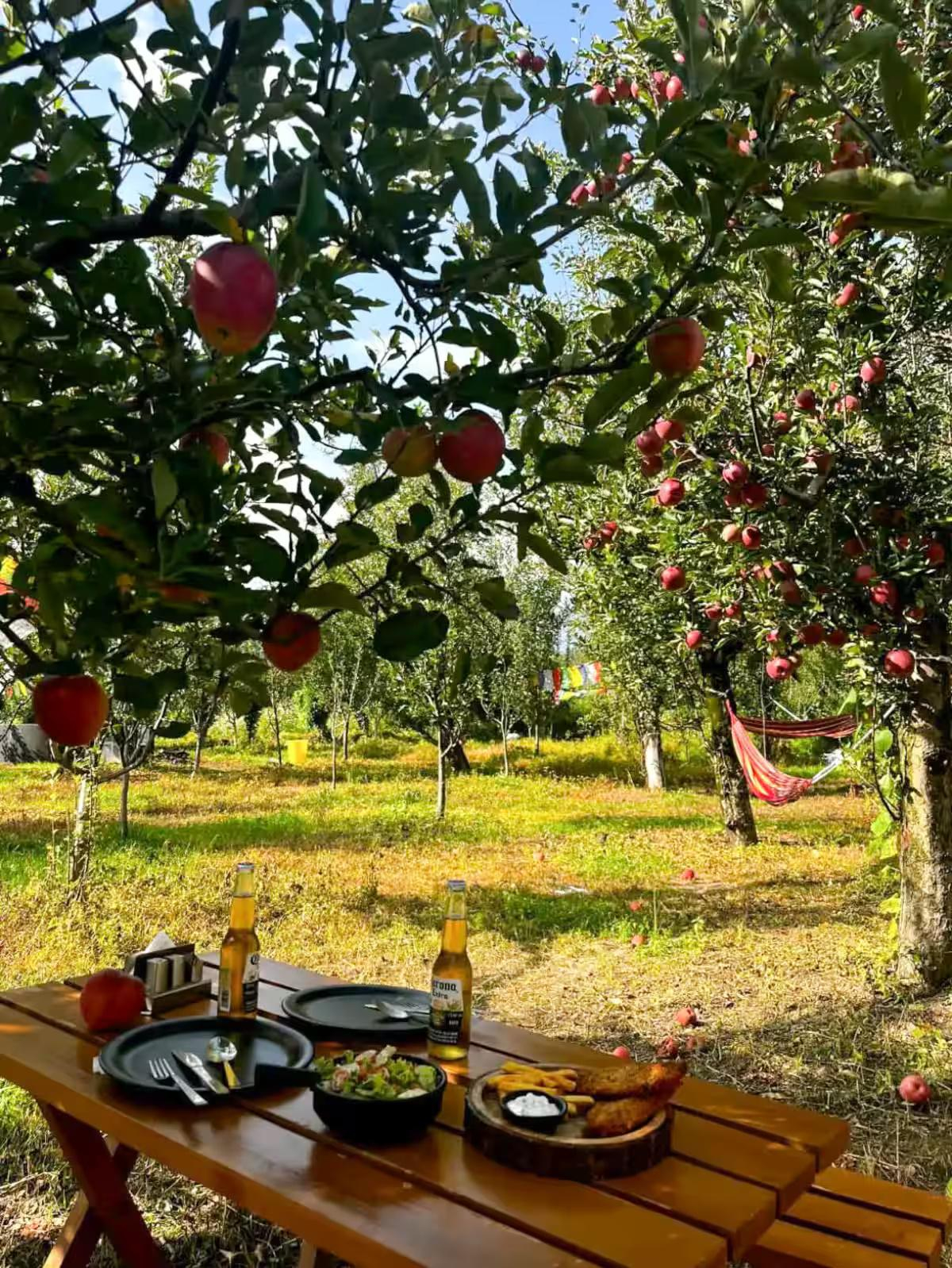 Kahaani | Luxury Wooden Chalet1 in Manali x Solis Nature