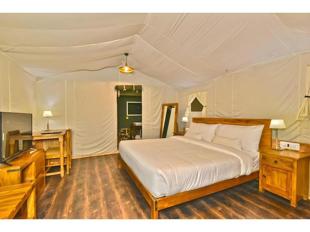 DLS Hill Crest x Solis Nature