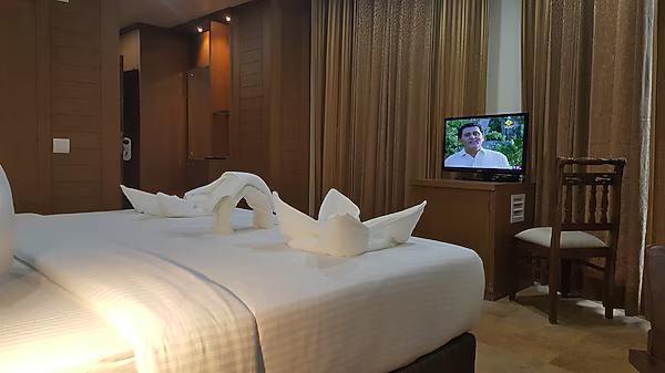 DLS Hotels The Rock Castle x Solis Nature